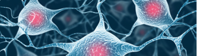Biomedicinske storitve
